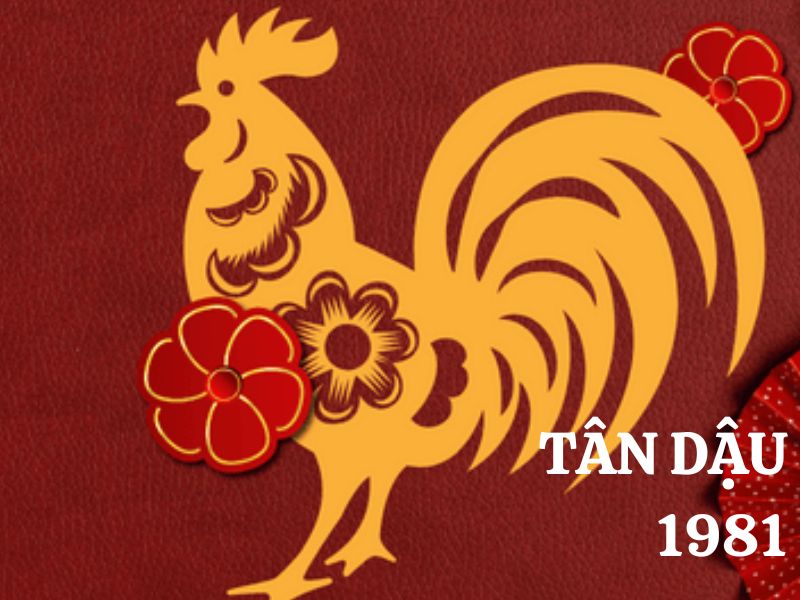 Nữ sinh năm 1981 thuộc mệnh Thạch Lựu Mộc