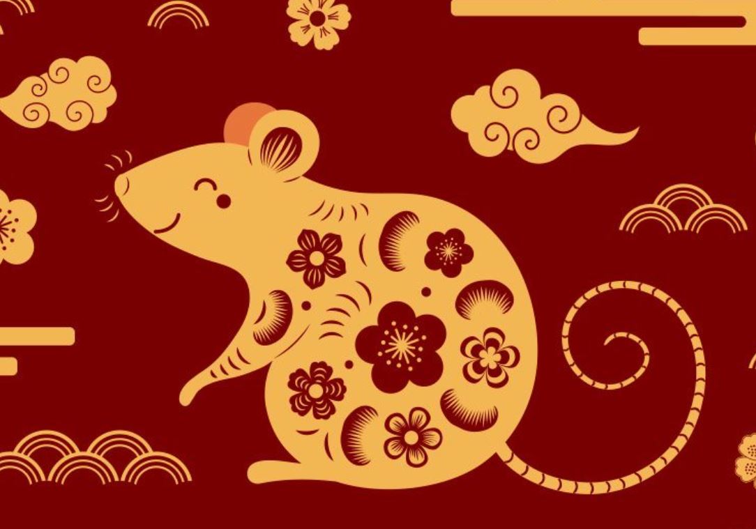 Giai đoạn quan trọng để tập trung học tập, rèn luyện kỹ năng và tích lũy kiến thức