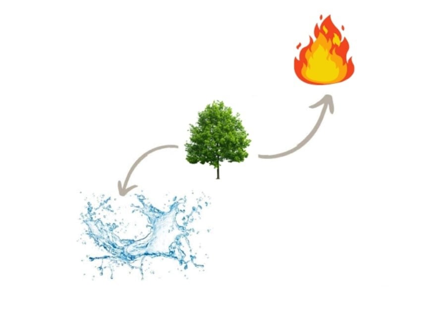 Nữ Kỷ Tỵ 1989 nên chọn người mệnh Mộc hoặc Thủy xông nhà năm 2026 để trung hòa bớt năng lượng Hỏa vượng