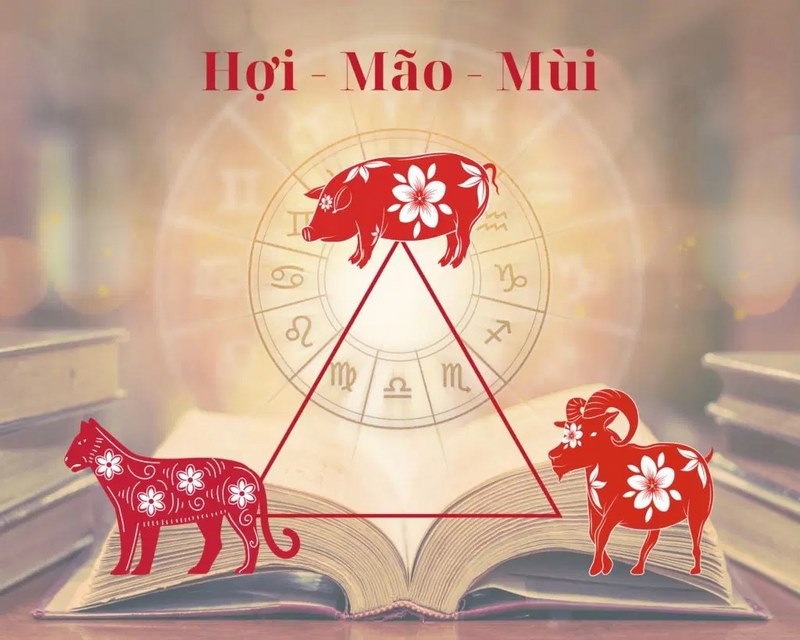 Nữ Tân Mùi 1991 nên chọn người xông nhà hợp mệnh Thổ và nằm trong bộ tam hợp (hoặc lục hợp) với tuổi Mùi