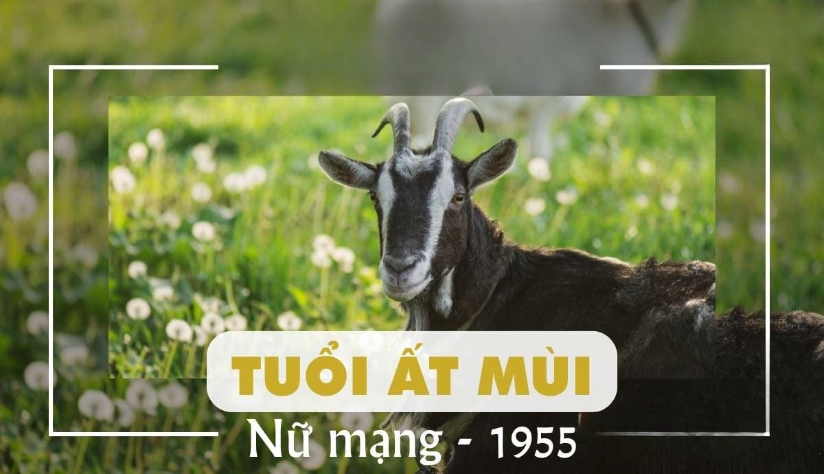 Chọn người xông đất hợp Thiên can – Địa chi với Ất Mùi