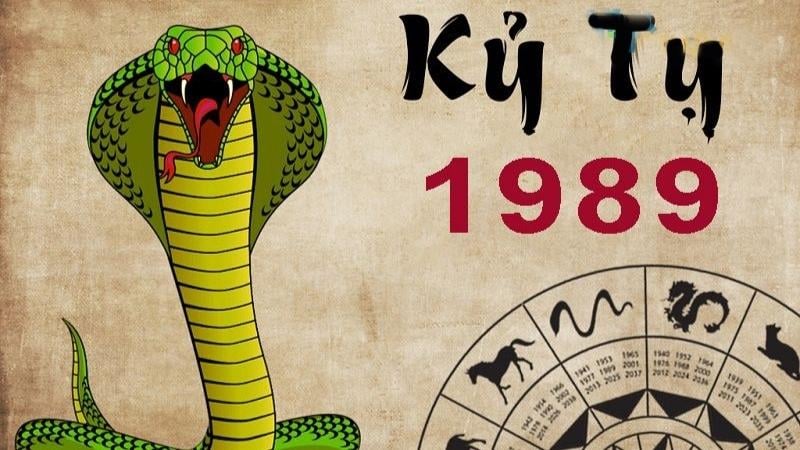 Kỷ Tỵ 1989 giúp gia chủ khởi đầu năm mới đầy năng lượng
