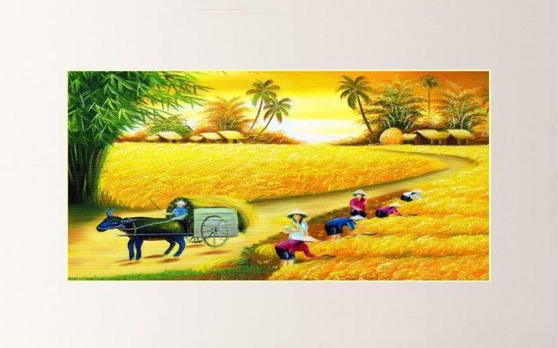 Cánh đồng lúa chín – biểu tượng của mùa màng thịnh vượng và tài lộc viên mãn