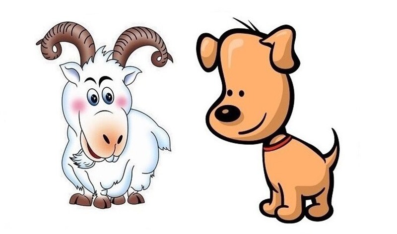 Nữ 1962 Nhâm Dần nên chọn người tuổi Mùi và Tuất để xông đất năm 2026