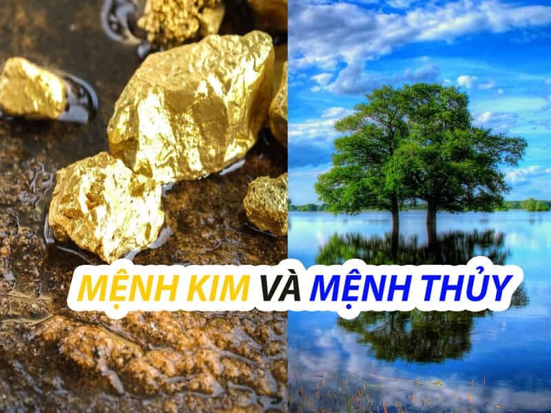 Nam 1963 Quý Mão nên chọn người mệnh Kim và Thủy để xông nhà năm 2026