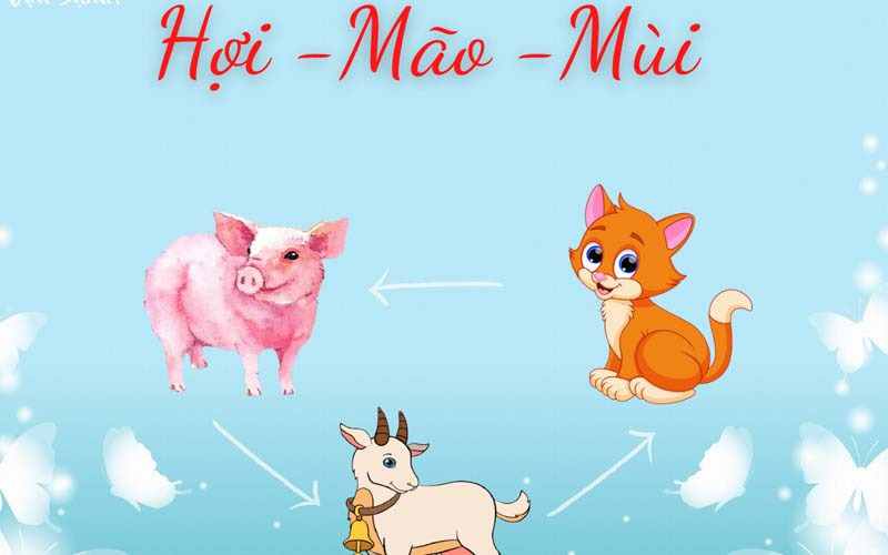 Nữ Quý Mão 1963 nên chọn người xông nhà năm 2026 thuộc nhóm tam hợp hoặc lục hợp để đón vận khí tốt