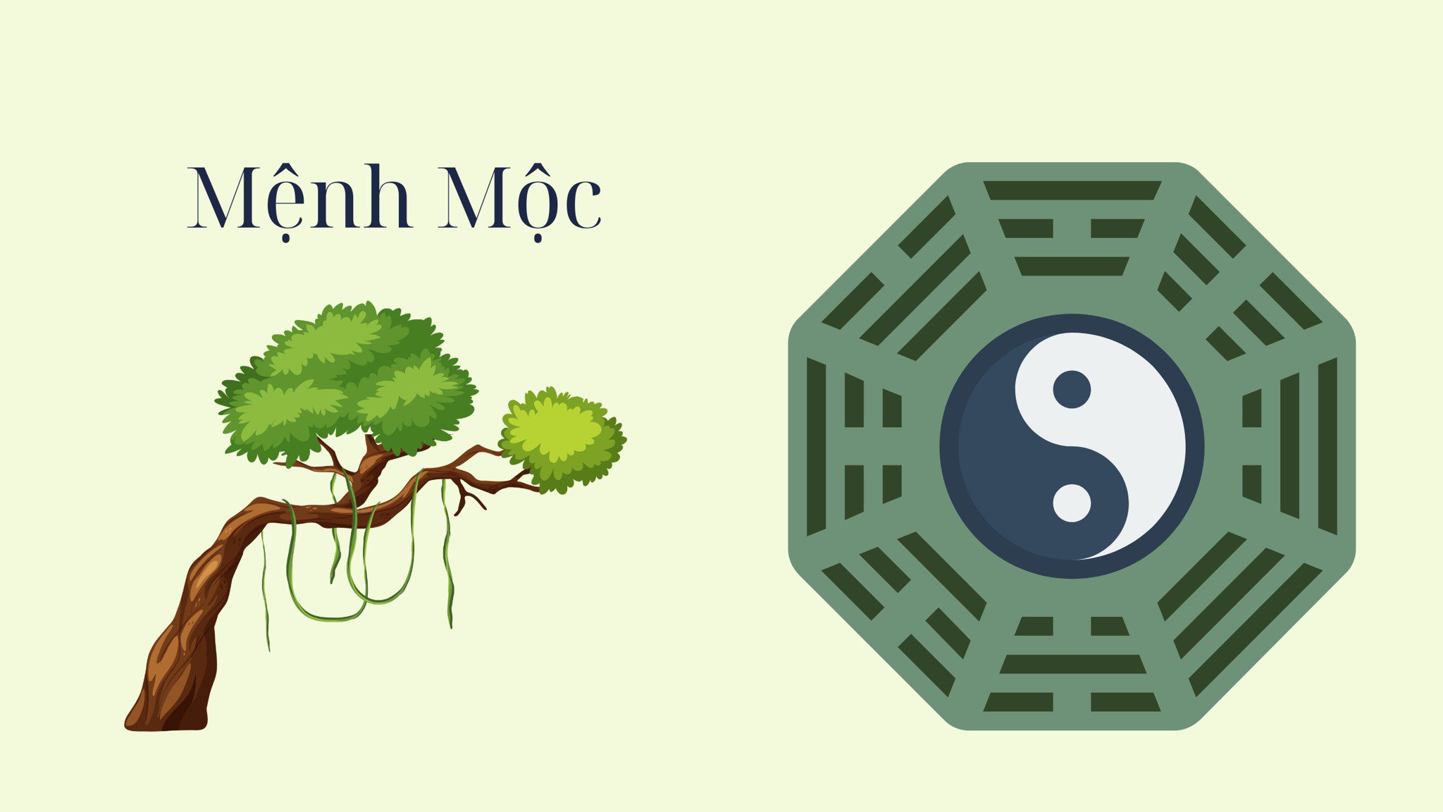 Nam 1964 Giáp Thìn nên mời người mệnh Mộc xông nhà năm 2026