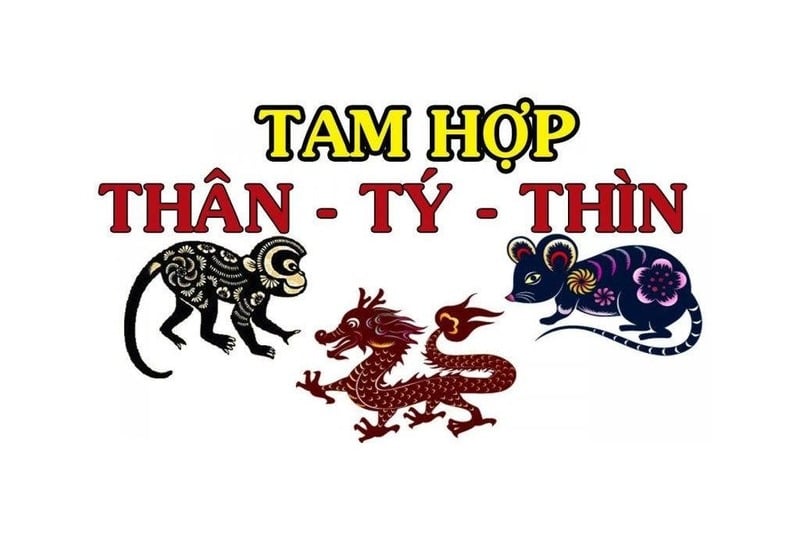 Nữ Giáp Thìn 1964 nên ưu tiên người xông đất thuộc nhóm tam hợp Thân - Tý - Thìn