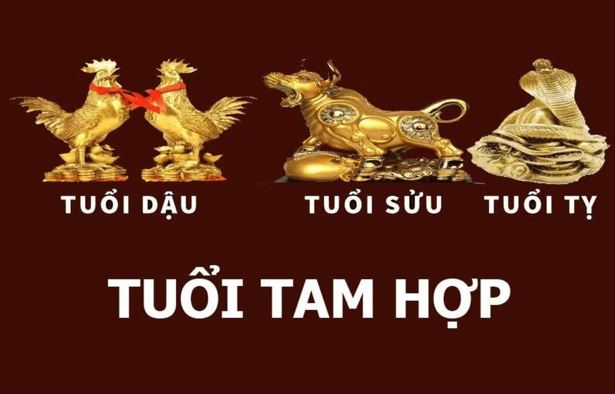 Chọn tuổi xông đất theo tam hợp tuổi gia chủ hoặc thiên can địa chi của năm