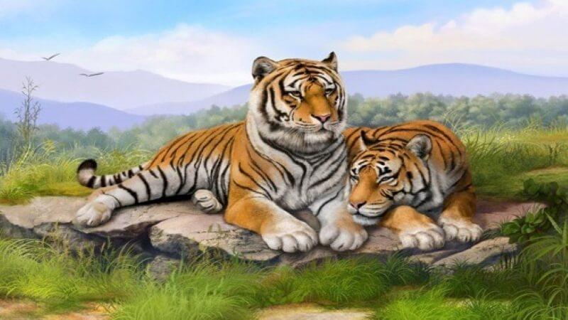 Tranh Hổ giúp Kỷ Hợi kích hoạt vận khí tốt