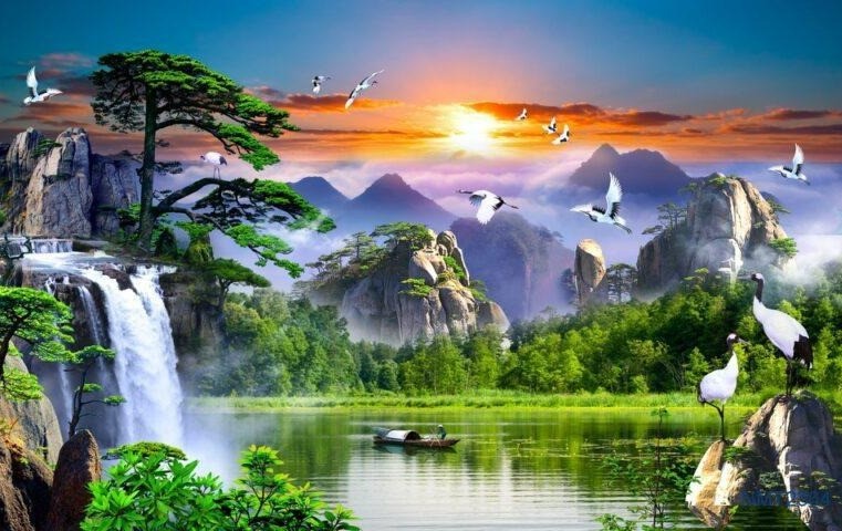 Tìm hiểu tổng quan phong thủy để biết tuổi Nhâm Tý 1972 nên treo tranh phong thủy nào năm 2026