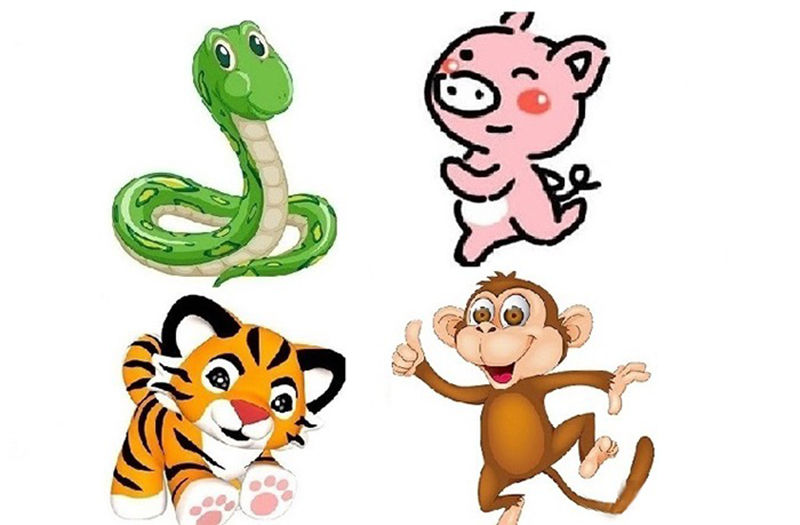 Người tuổi Tỵ xung khắc với các tuổi Dần, Thân, Hợi 