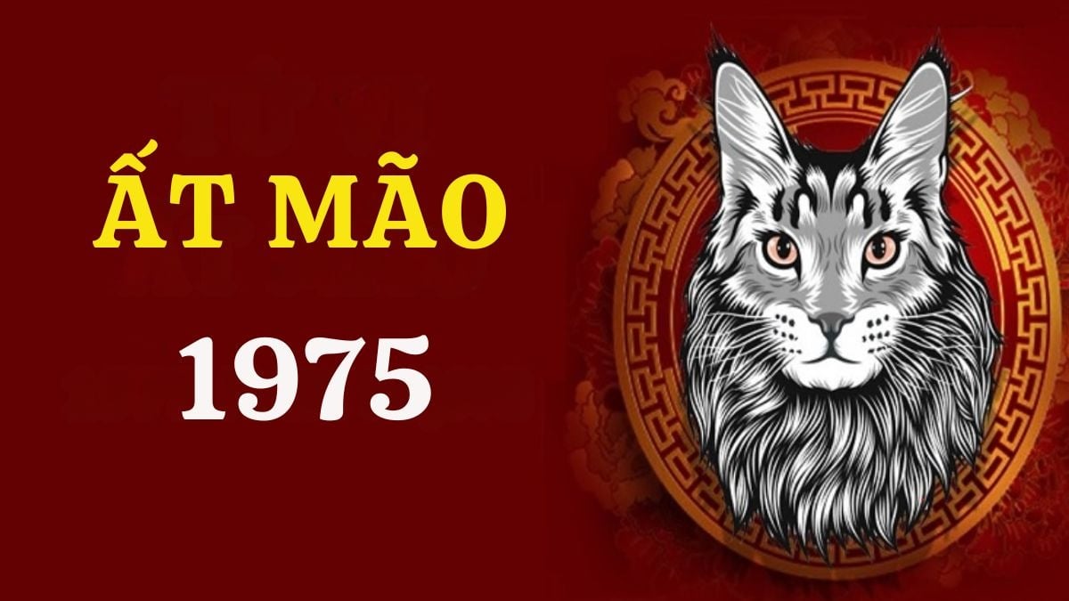 Các tuổi Ất Mão, Tân Dậu, Bính Thìn,... không hợp với Đinh Mùi 1967