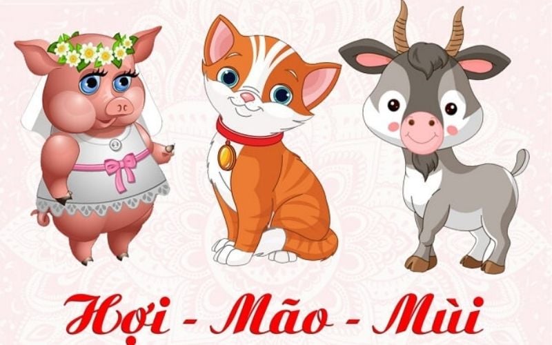 Hợi - Mão - Mùi là nhóm người giỏi kết nối và xây dựng mối quan hệ