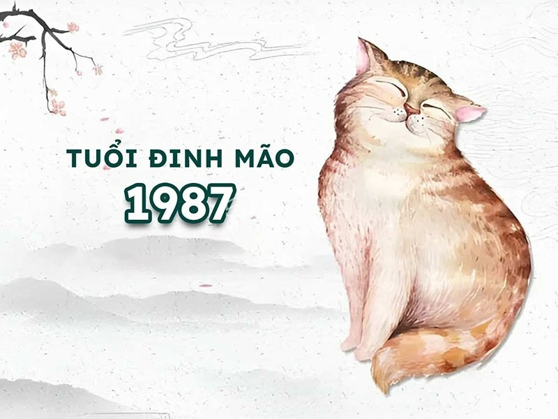 Tìm hiểu đặc điểm phong thủy của tuổi Đinh Mão 1987 trong năm 2026