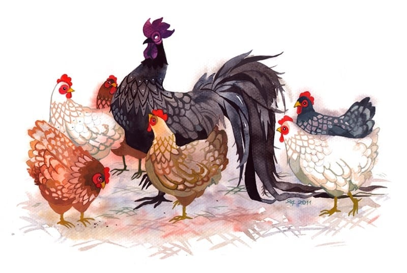 Giải đáp tuổi Đinh Dậu 1957 khắc với tuổi nào năm 2026