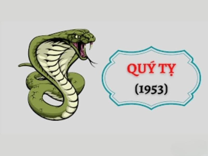 Quý Tỵ 1953 giúp Bính Thân phát triển các mối quan hệ xã hội