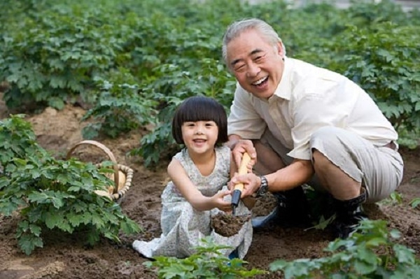 Bính Thân 1956 nên ưu tiên những hoạt động như chăm sóc vườn tược