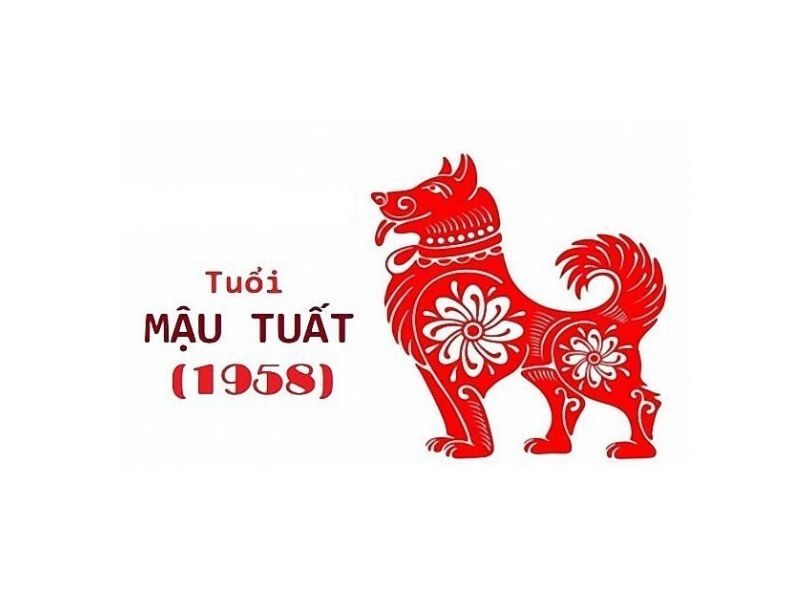 Vận khí Mậu Tuất 1958 năm này khá thuận