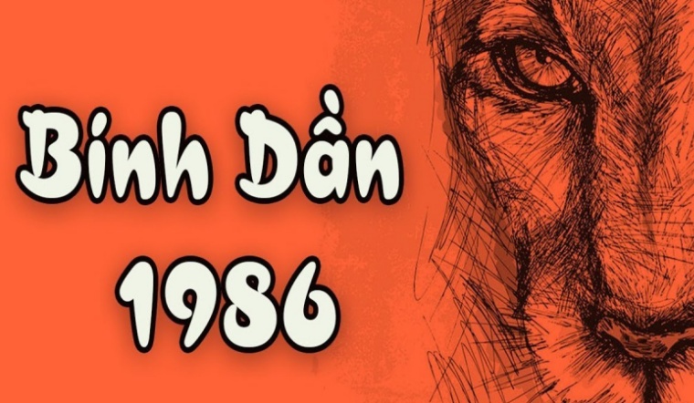 Bính Dần 1986 hợp tác thuận lợi với Kỷ Hợi 1959