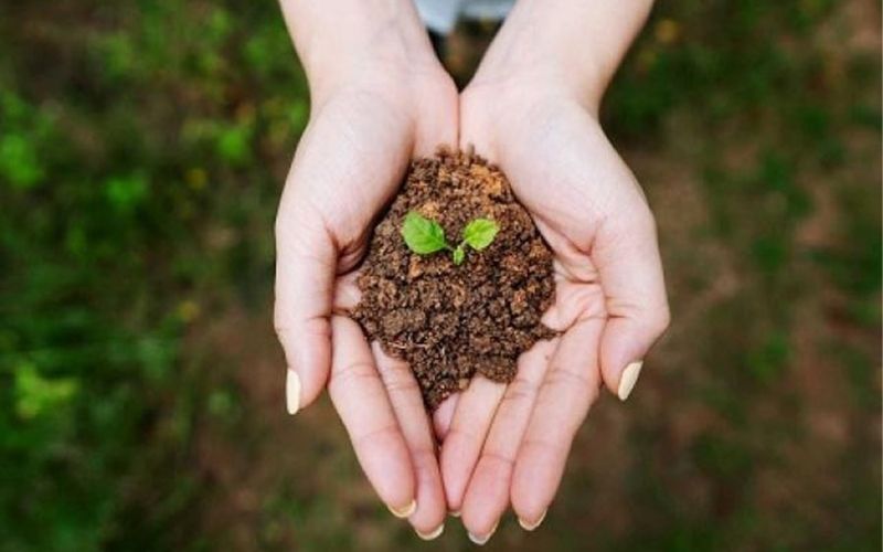 Bính Thổ tượng trưng cho đất cát, nền tảng bền vững cho mọi sự nghiệp