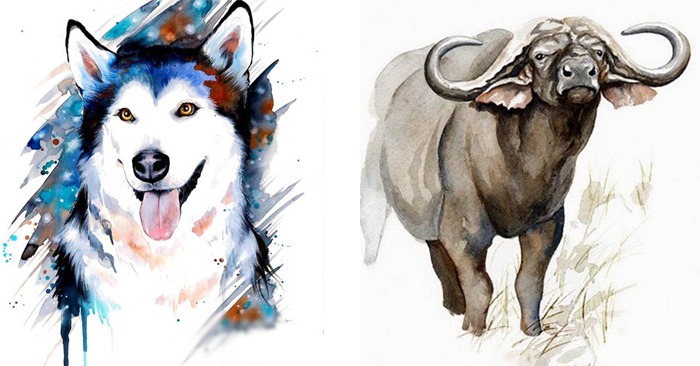 Các tuổi Đinh Sửu, Nhâm Tuất, Giáp Thân, Tân Tỵ có thể bổ trợ cho Giáp Thân 2004 trong năm 2026