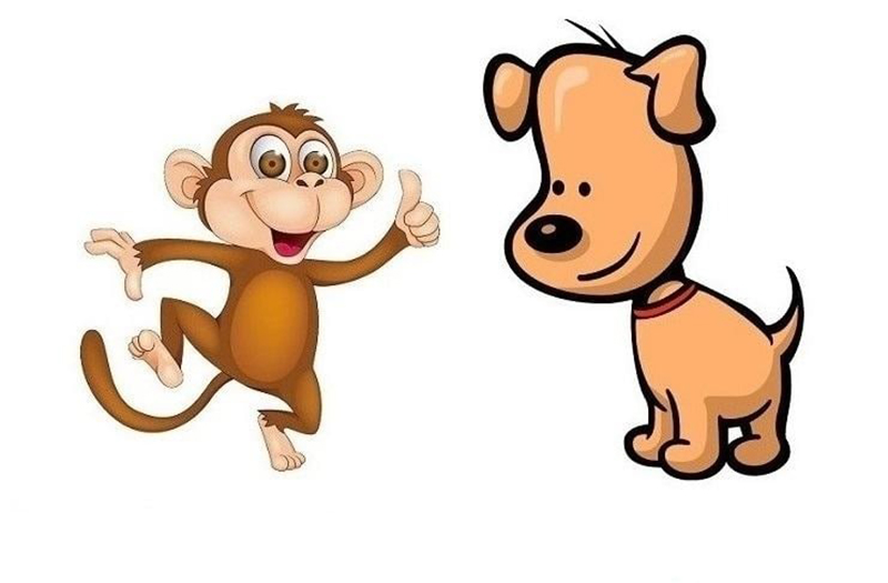 Ất Dậu 2005 hợp với các tuổi Quý Mùi và Giáp Thân trong việc hợp tác làm ăn