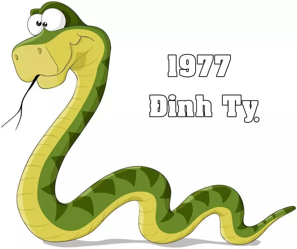 2026 không phải là năm đại cát với Đinh Tỵ