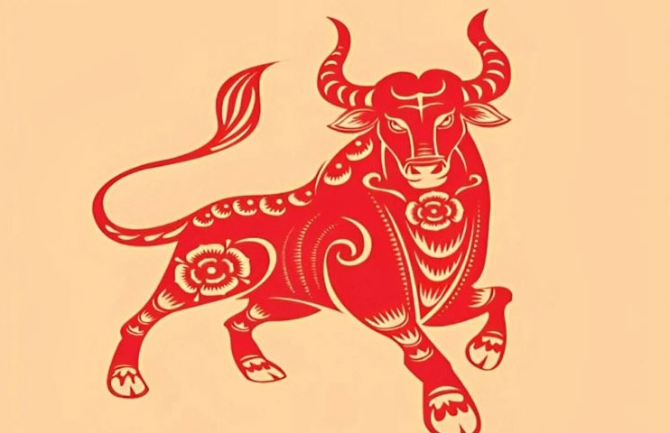 Tuổi Đinh Sửu cần tránh hợp tác với các tuổi Nhâm Ngọ, Bính Tuất, Mậu Tý, Bính Tý, Giáp Tuất, Canh Ngọ