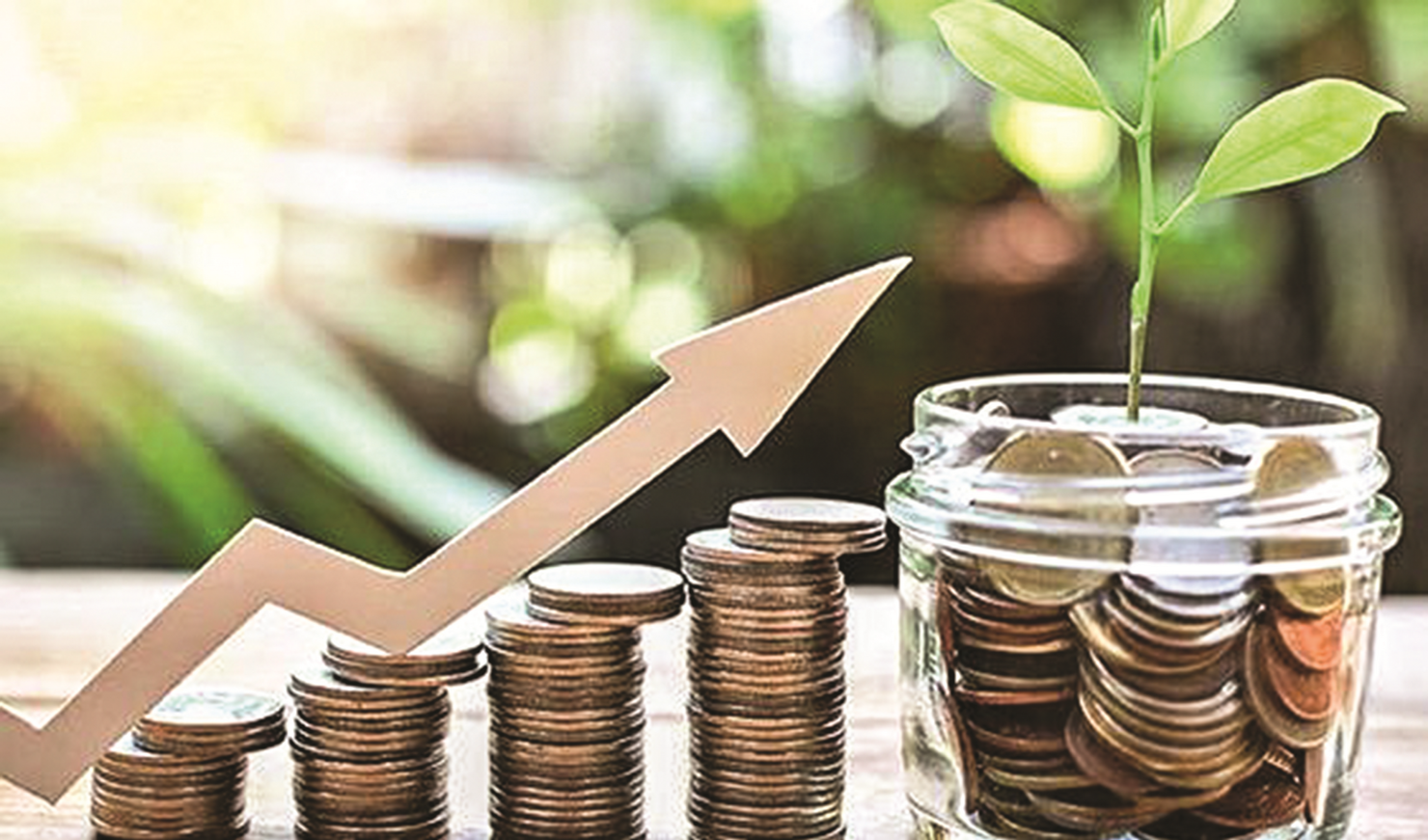 Nam Kỷ Mão sẽ tăng trưởng tài chính nhẹ trong năm nay