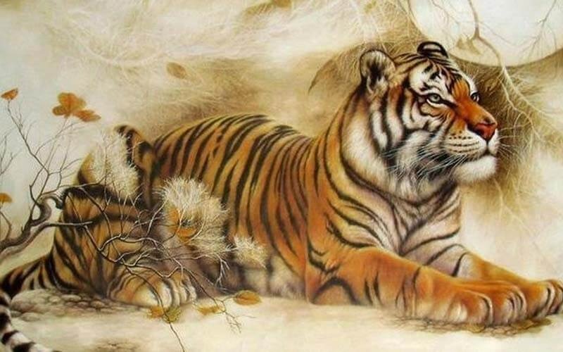 Tổng quan vận trình tuổi Mậu Dần 1998 trong năm 2026