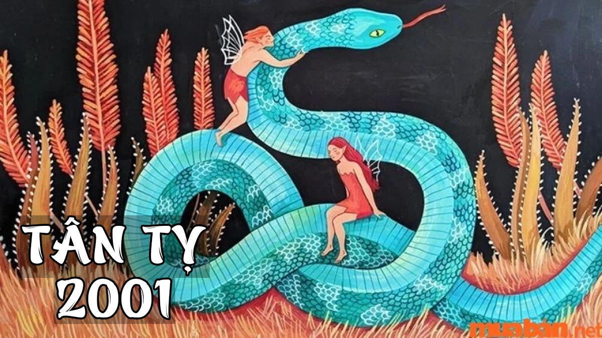 Người tuổi Tân Tỵ 2001 mệnh Bạch Lạp Kim, vững vàng và thông minh