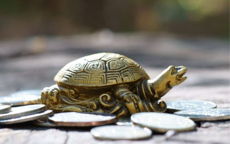 Rùa phong thủy là vật phẩm thích hợp cho người tuổi Mậu Ngọ 1978