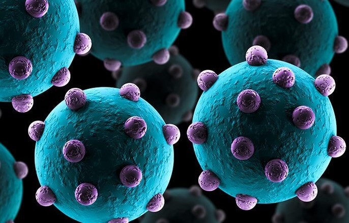 Tìm hiểu về virus cúm A và đặc điểm gây bệnh