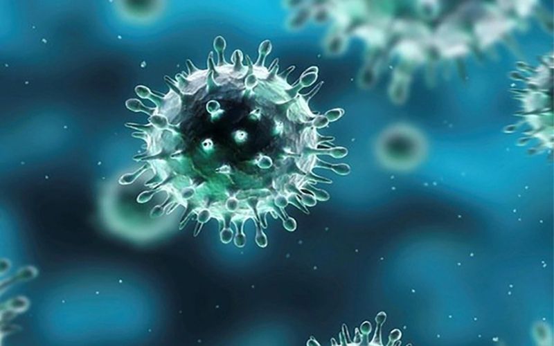 Cúm A/H1N1 từng gây đại dịch toàn cầu vào năm 2009