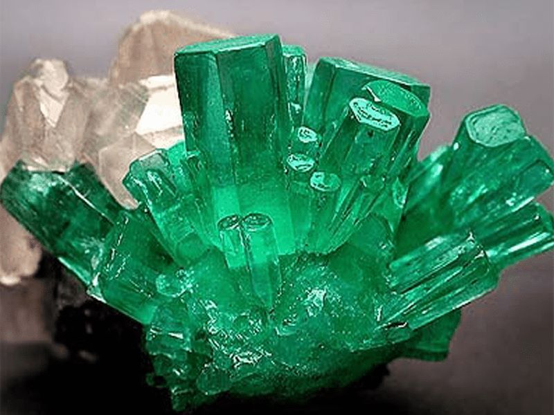 Màu xanh lá thuộc hành Mộc không phù hợp với mệnh Kim của Giáp Ngọ 1954