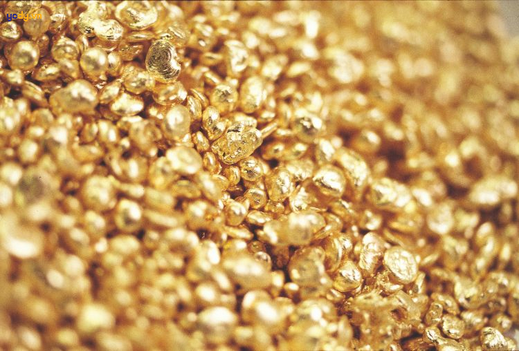 Người Giáp Ngọ 1954 thuộc hành Kim