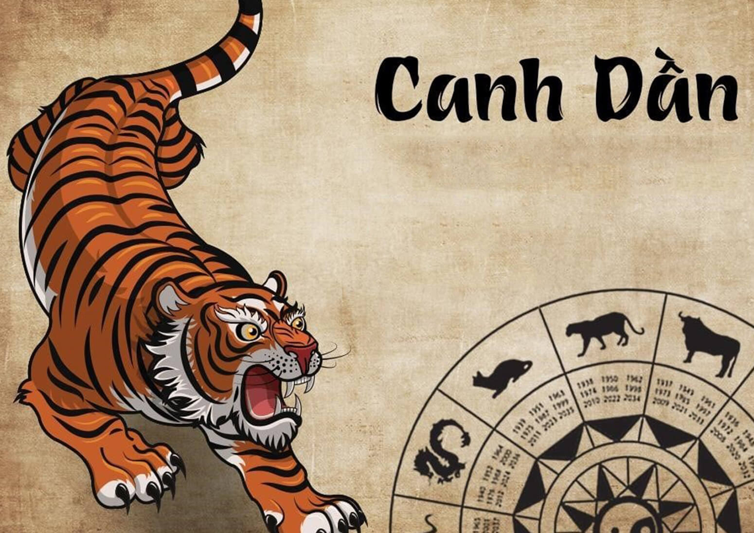 Canh Dần 1950 là tuổi hợp nhất với Ất Hợi 1995