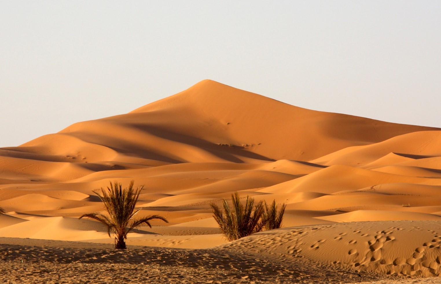 Nam sinh năm 1977 tuổi Đinh Tỵ mang mệnh Thổ