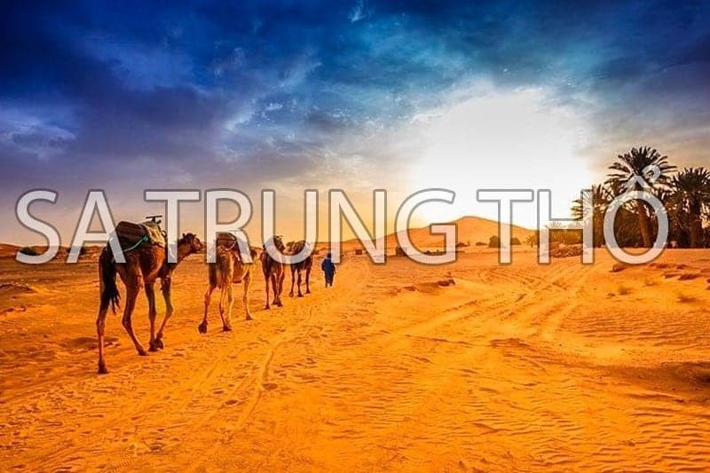 Thổ tượng trưng cho sự vững chãi, bền bỉ, đáng tin cậy