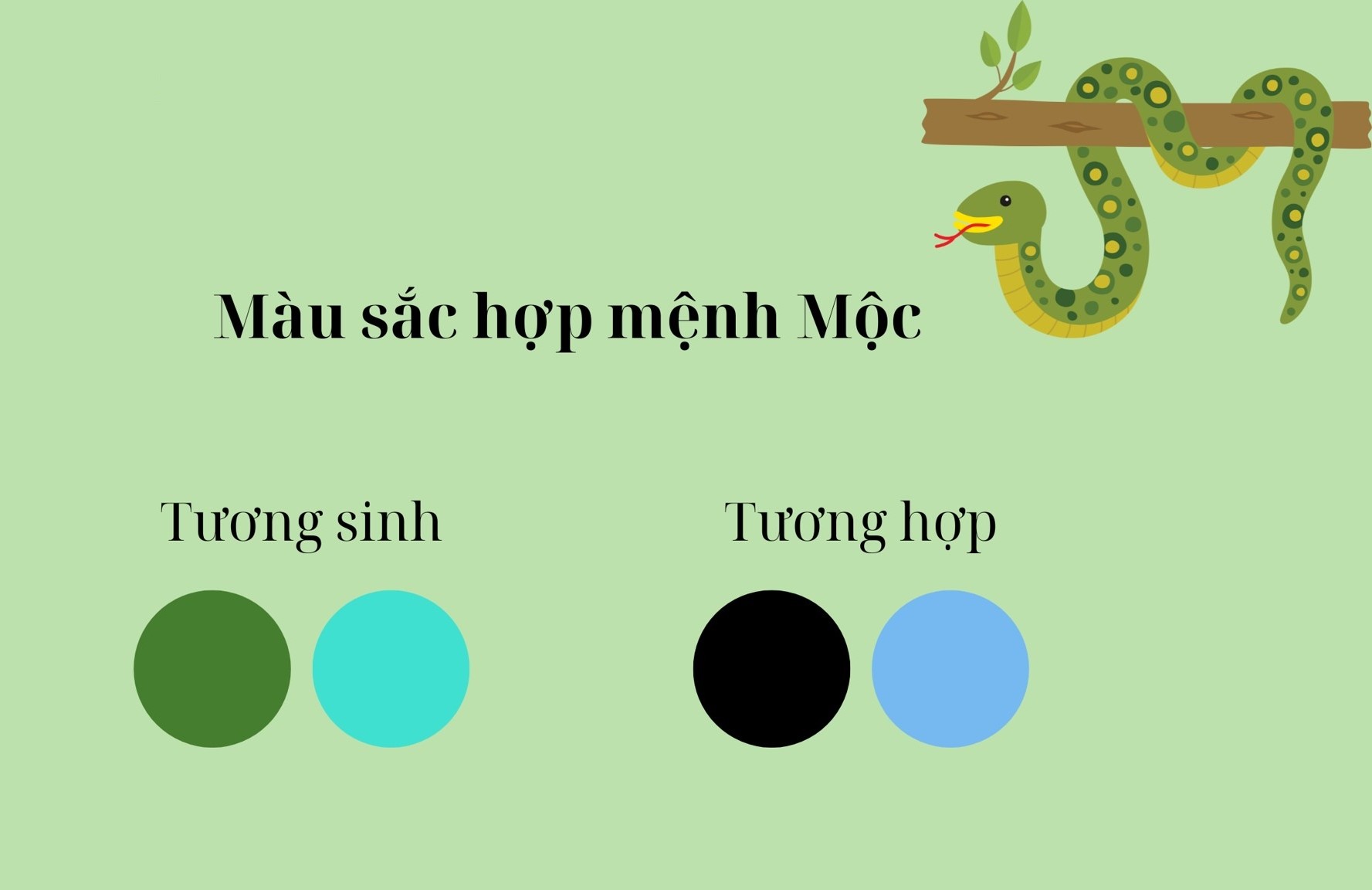 Xanh lá cây là màu bản mệnh phù hợp cho nữ mạng tuổi Kỷ Tỵ 1989