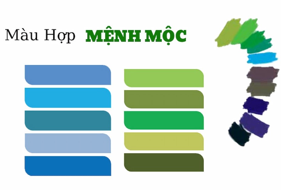 Chọn màu hợp mệnh Mộc để xua đuổi năng lượng tiêu cực