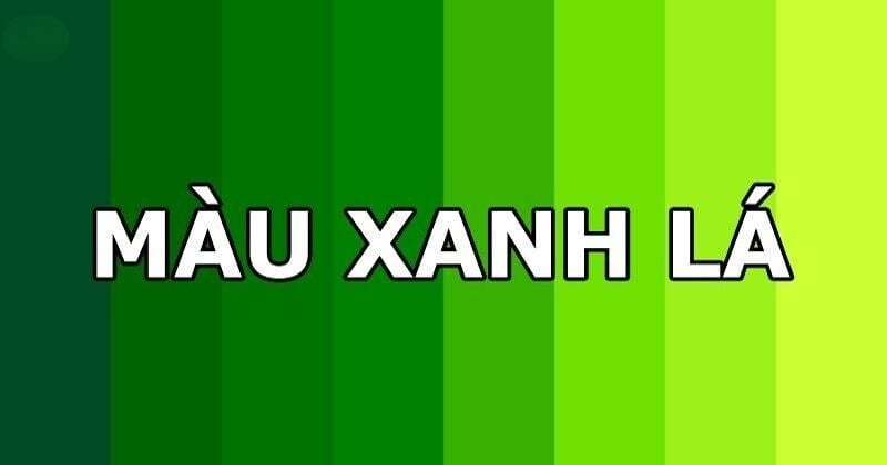 Màu xanh lá cây giúp nữ tuổi Mậu Ngọ cảm nhận sự dễ chịu và cân bằng