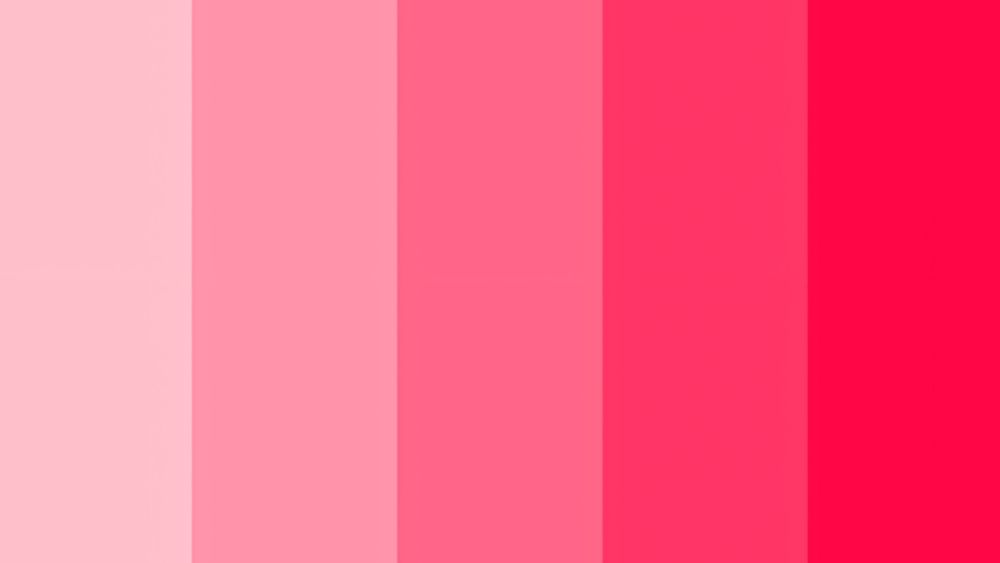 Nhóm màu tương hợp giúp nam mạng tuổi Kỷ Mùi 1979 gia tăng nội lực và thăng tiến sự nghiệp