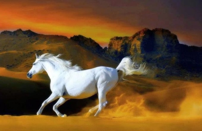 Nam mạng sinh năm 1990 Canh Ngọ thuộc mệnh Thổ