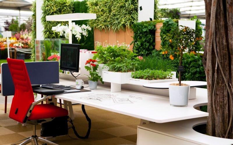 Trang trí cây xanh hợp mệnh ở nơi làm việc để mang lại may mắn cho nữ mạng Ất Hợi