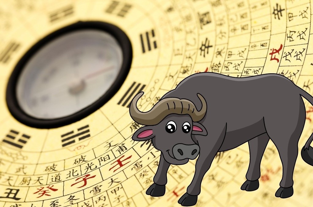 Tìm hiểu tổng quan về bản mệnh tuổi Quý Sửu 1973