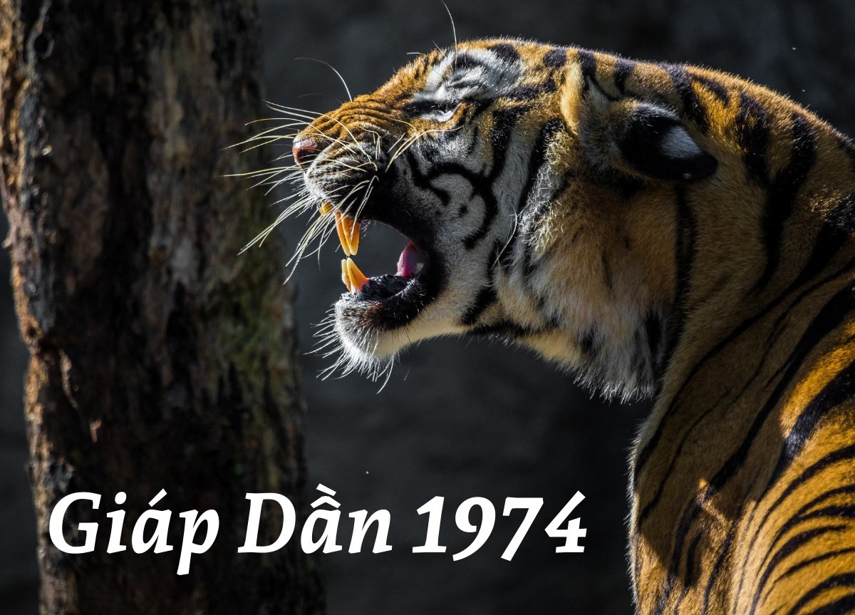 Tìm hiểu tổng quan về bản mệnh nữ Giáp Dần 1974