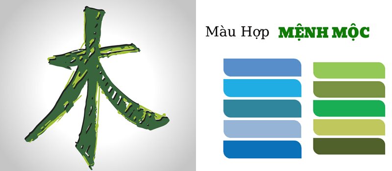 Những màu sắc hợp với mệnh Dương Liễu Mộc của nữ Nhâm Ngọ 2002