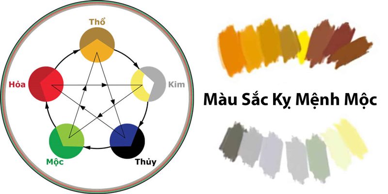 Những màu thuộc hành Kim và Thổ kỵ với bản mệnh Dương Liễu Mộc của Nhâm Ngọ 2002